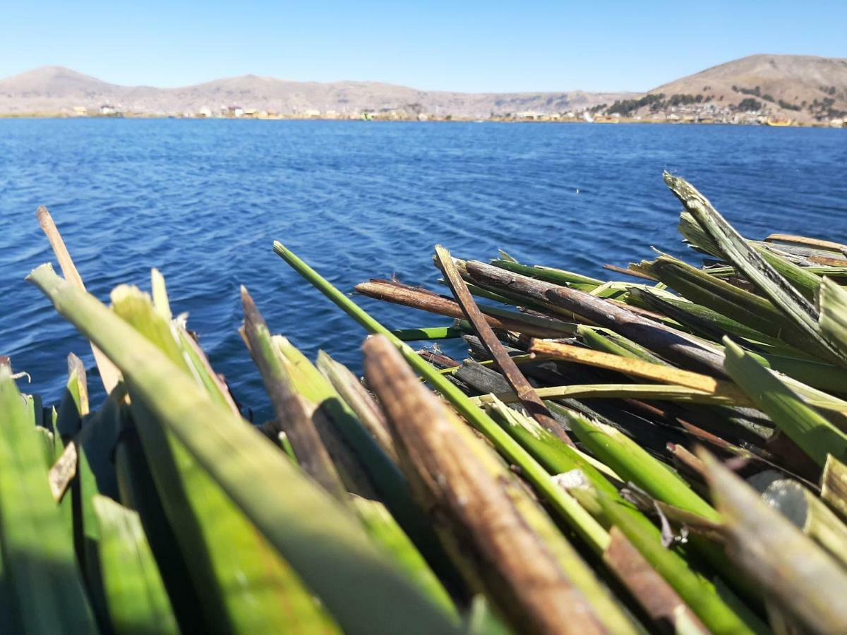 Quechua Lodge Titicaca Puno Bagian luar foto